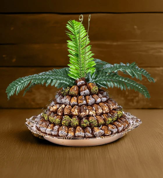 نخلة التمر الحجم وسط